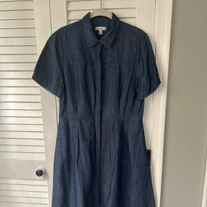 J Crew Chambray Dress